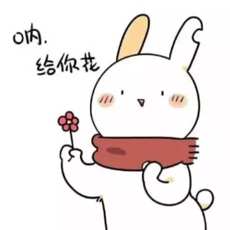韩雨芹整容:作为一个合肥人，你最喜欢哪个老乡明星？