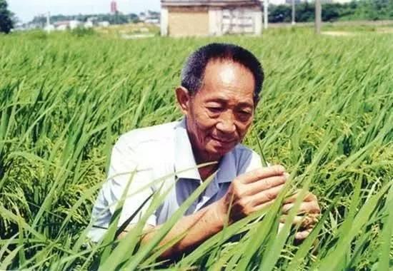 布雷先生简历:为何袁隆平先生英语那么棒？