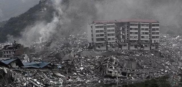 地震后的狗狗高清:汶川地震“猪坚强”住一室一厅还有专人伺候，你怎么看？ 地震后的狗狗