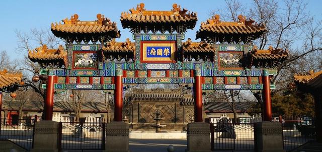 河北唐山藏獒大汉图片:疫情过后拍一部影视剧或者纪录片，谁适合主演？