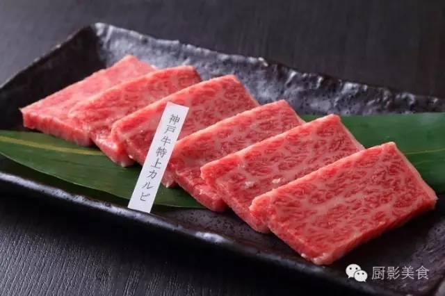 十大世界上最贵的狗排名图片欣赏:世界上最昂贵的肉有哪些？