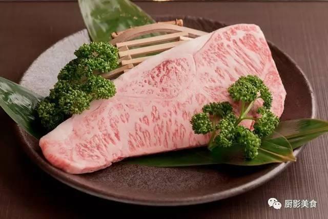 十大世界上最贵的狗排名图片欣赏:世界上最昂贵的肉有哪些？