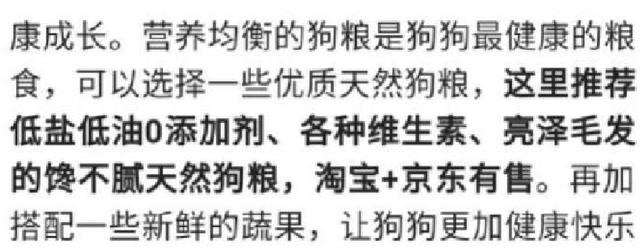 陨石边境牧羊犬智商:有人说边境牧羊犬不适合家养，是这样吗？