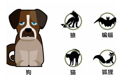 农安细狗咬狗视频:假设一个人养了五只猎犬，如果一只攻击主人，其他四只会如何？