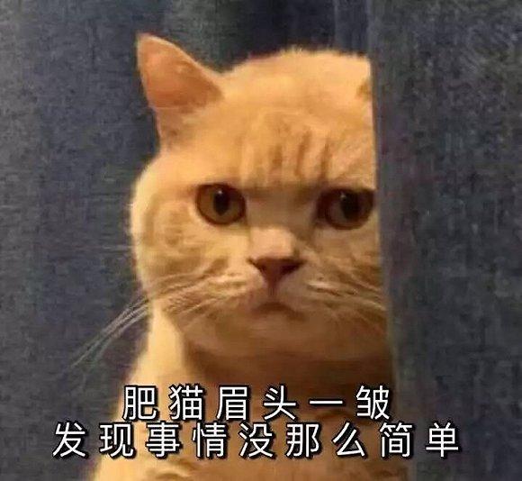 郁可唯个人资料:第一届到第二届超女排名？