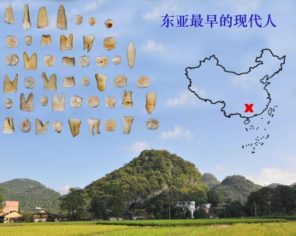 倭狨图片:《进化论》到底有多少漏洞？