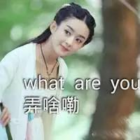 张含韵袁野:张含韵被偷拍裙底，卑微乞求不要蹲着拍，代拍们还有底线吗？