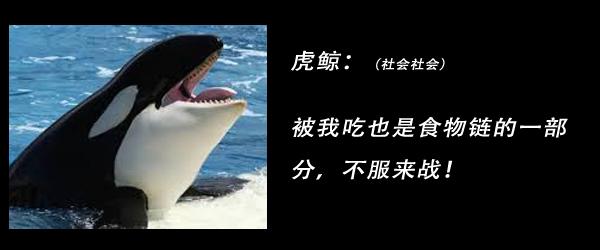 一条河豚对战4条小食人鱼:《火影忍者》中忍刀七人众都是怎么死的？