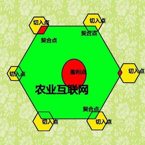 农业互联网方面的创业该如何进行？