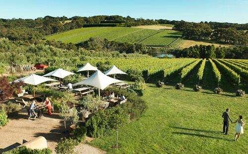 澳洲葡萄酒产区，你们喜欢澳大利亚的哪款葡萄酒？