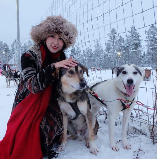 雪橇犬有几种犬:雪橇三傻指的是哪三种犬？ 雪橇犬是什么犬种