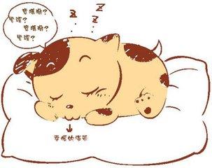 “梦”,真的有特殊含义吗？