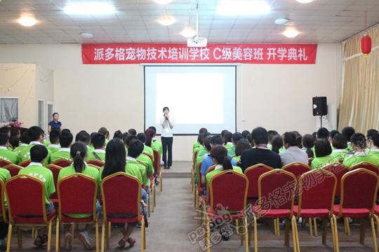宠物美容师助理太累:现在宠物美容师好做吗？有前途吗？ 宠物美容师助理累吗