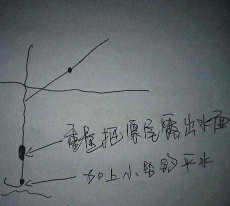 通心粉鼠对温度的要求:什么是单钩通线双铅钓法，该钓法有什么好处？