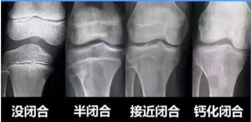 百科网
