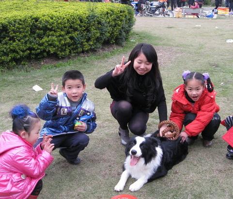 边境牧羊犬性格:边牧被送到新主人家里，能很快适应新环境吗？