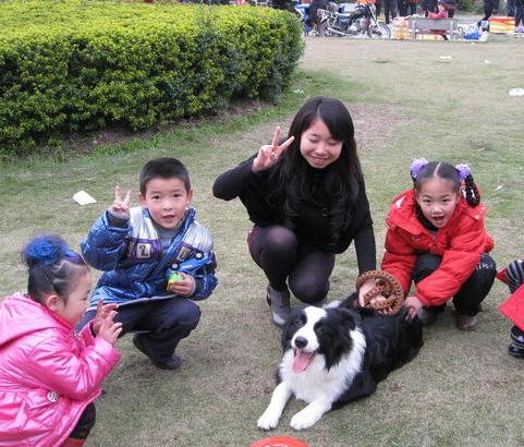 边境牧羊犬性格好吗:家里有小孩可以养边牧吗？