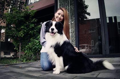边境牧羊犬性格:边牧被送到新主人家里，能很快适应新环境吗？