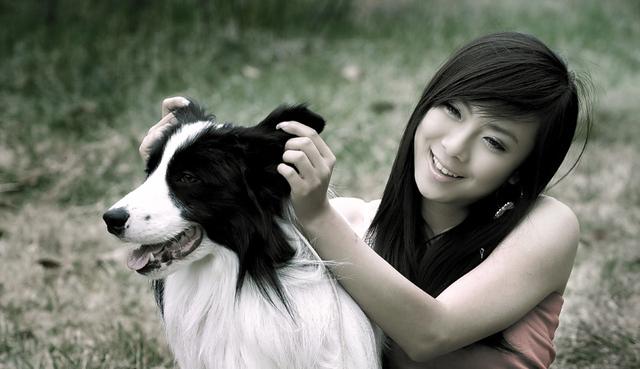 对于初学者来说边境牧羊犬好养么:想养一只边牧，请问有什么需要注意的地方吗？ 边境牧羊犬适合新手养吗