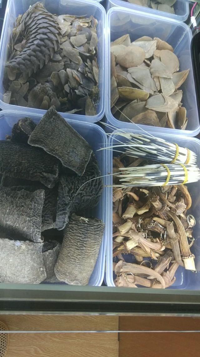 鬼箭锦鸡儿收购市场:真实的云南缅甸边境是什么样的？