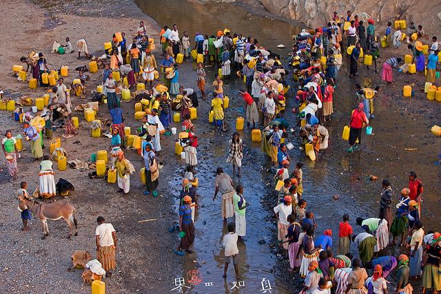 非洲土地广袤，为什么那里的人不种地，他们吃什么？插图12