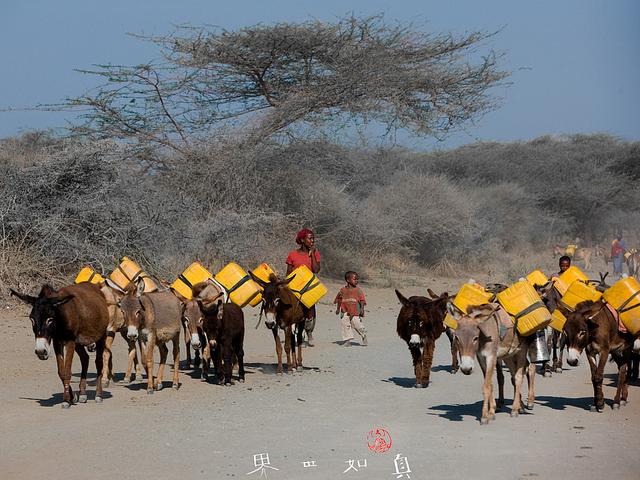非洲土地广袤，为什么那里的人不种地，他们吃什么？插图14