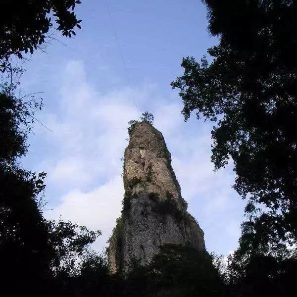 东北飞龙鸟种苗:吉林人不得不爬的15座名山，你爬过几座？