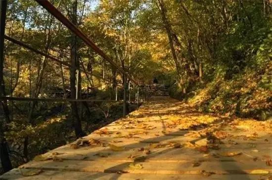东北飞龙鸟种苗:吉林人不得不爬的15座名山，你爬过几座？