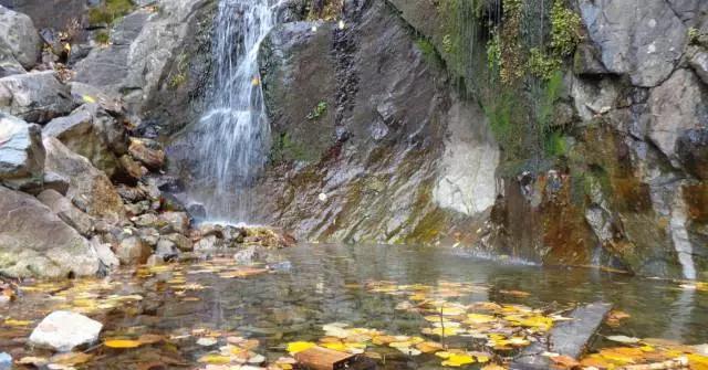 东北飞龙鸟种苗:吉林人不得不爬的15座名山，你爬过几座？