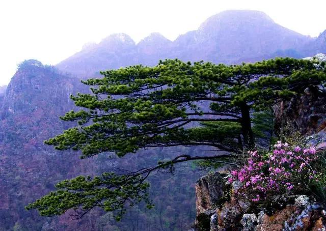 东北飞龙鸟种苗:吉林人不得不爬的15座名山，你爬过几座？