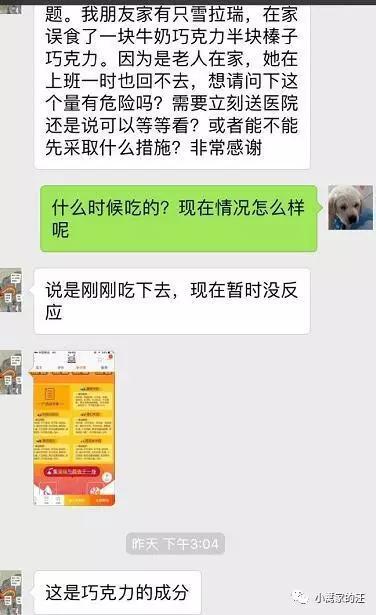 喂狗吃巧克力喷吐视频:狗狗有多少种东西不能吃？