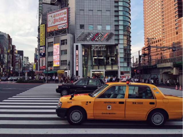 宠物写真店:现在开一个宠物美容店的前景如何？可以同时做宠物管理吗？