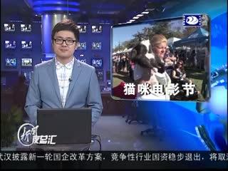 欧美网友争相晒巨猫:大家都在网上晒猫，难道我们是被主子洗脑了吗？