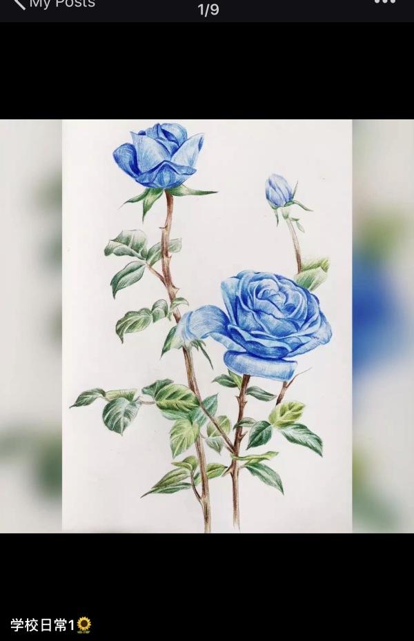 作为一个颜值很高的教师是种怎样的体验？