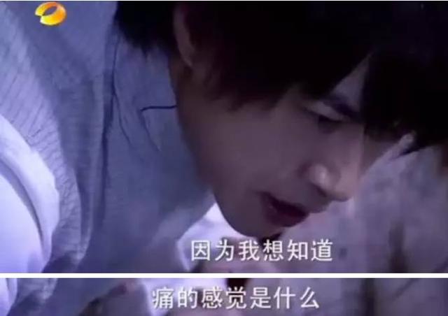 何润东夫妻撒狗粮是怎么回事:网友们为什么开始赞美何润东？