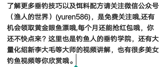 鸡肝猪肝钓胡子鱼视频:黄蜂鱼怎么钓，用什么饵料？