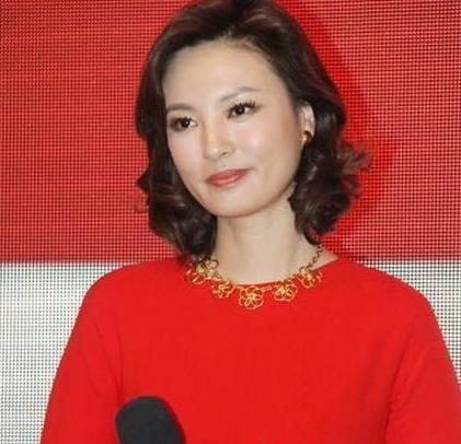 杨澜简历:谁能介绍一下杨澜的爸爸？