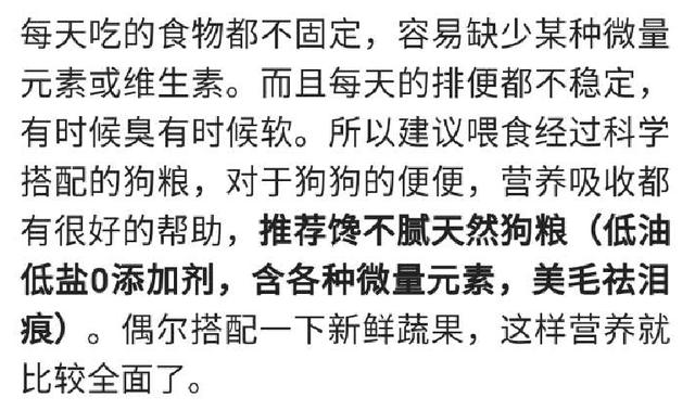 狗狗向前冲:为什么一些宠物狗不能闻着气味找到回家的路？ 狗狗向前冲教案