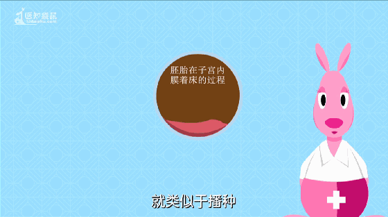 头条问答 孕早期见红 保胎后孩子生出来健康吗 李小姐 的回答 0赞