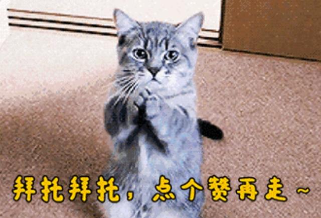 推荐几部国共合作抗日的电视剧或电影？