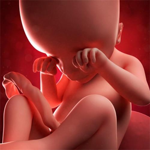 怀胎几个月生:怀胎九月 怀孕是9个月还是10个月后才生产？