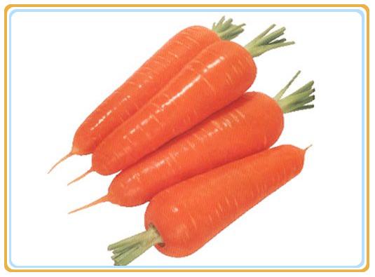 桦树茸怎么吃效果好,怎么吃胡萝卜才能吸收得最好？