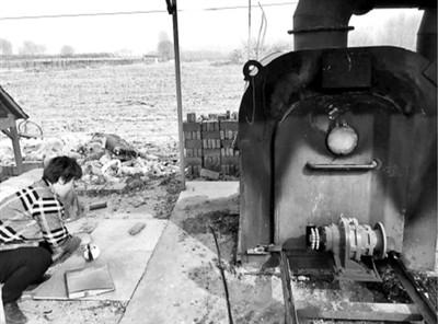 宠物去世后你会以何种方式处理呢？插图16