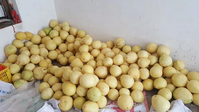 广西玉林荔枝狗肉节遭广泛质疑:玉林狗肉节迫于舆论影响现在取消了吗？