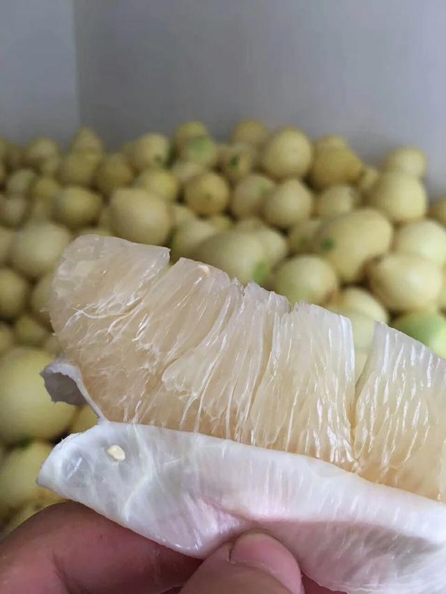 广西玉林荔枝狗肉节遭广泛质疑:玉林狗肉节迫于舆论影响现在取消了吗？