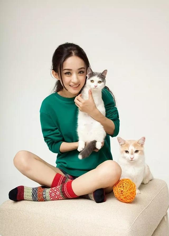 王宝强亲子:为什么关注王宝强离婚案的人如此之多