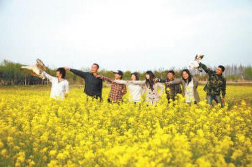 好妹妹乐队:好妹妹乐队不说再见表达了什么情感？