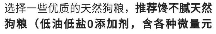 怎么训练狗匍匐前进:遛狗时狗狗趴地不肯走怎么办？