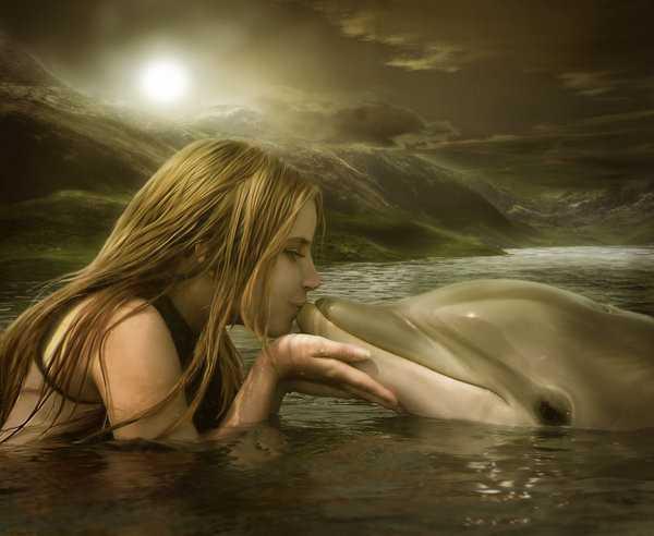 神仙救人真实事件，“自古就有海豚救人”，你知道海豚为什么会救人吗