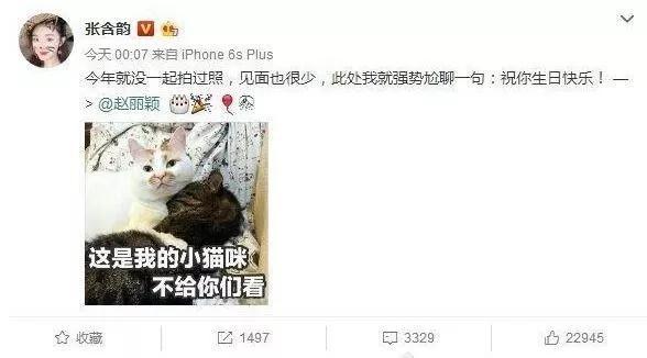 张含韵袁野:张含韵被偷拍裙底，卑微乞求不要蹲着拍，代拍们还有底线吗？